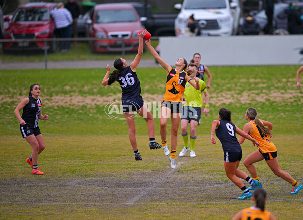 Coates League Girls 2025 Quarter Final - Dandenong Stingrays v Geelong Falcons - A-62137677