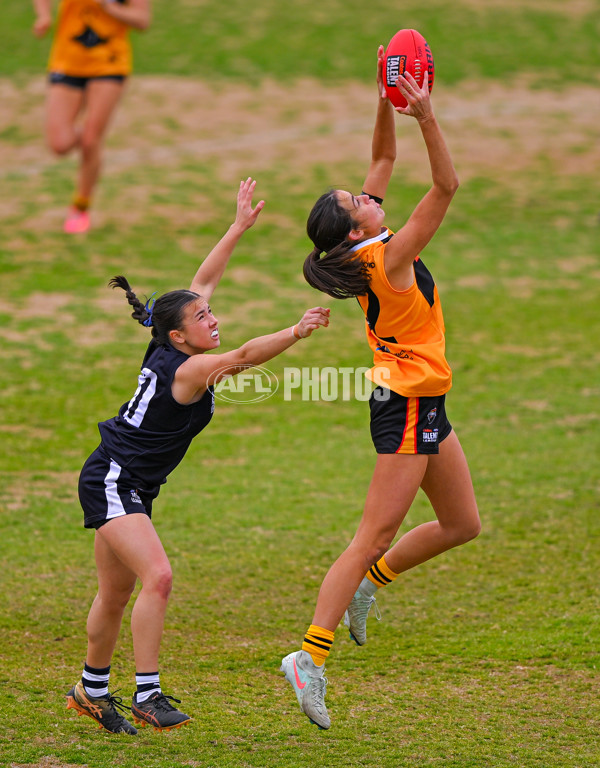 Coates League Girls 2025 Quarter Final - Dandenong Stingrays v Geelong Falcons - A-62137681