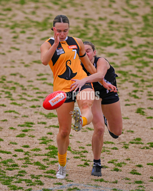 Coates League Girls 2025 Quarter Final - Dandenong Stingrays v Geelong Falcons - A-62137682