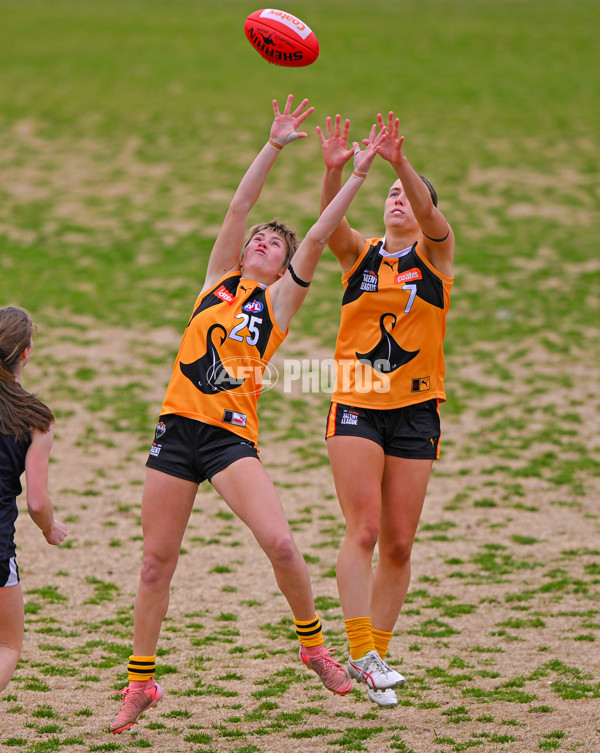 Coates League Girls 2025 Quarter Final - Dandenong Stingrays v Geelong Falcons - A-62137683
