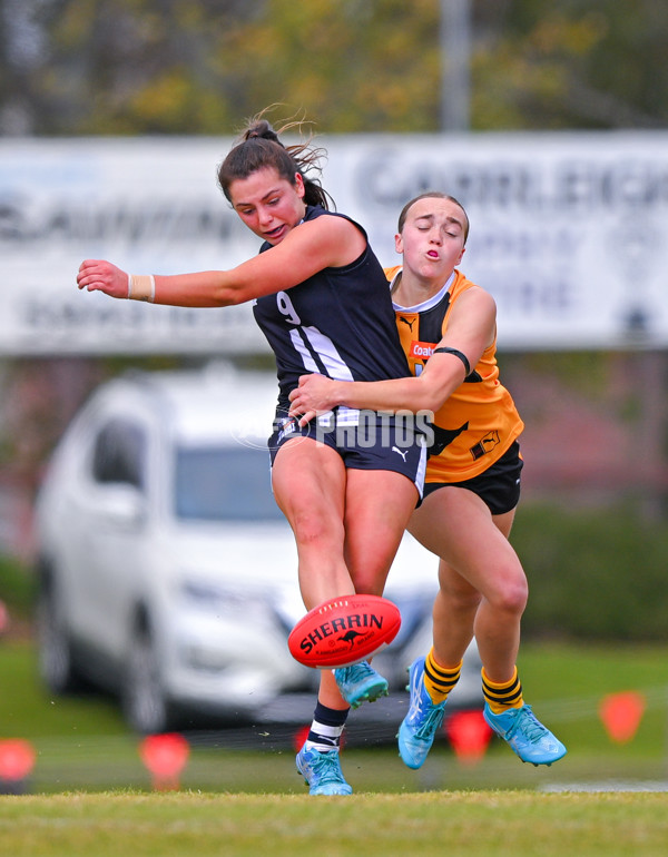 Coates League Girls 2025 Quarter Final - Dandenong Stingrays v Geelong Falcons - A-62137695