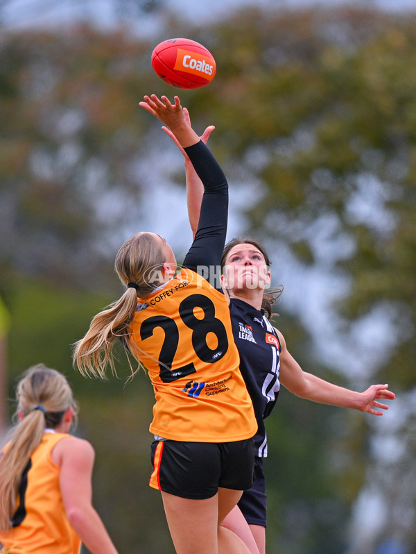Coates League Girls 2025 Quarter Final - Dandenong Stingrays v Geelong Falcons - A-62137696