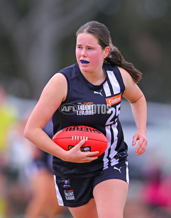 Coates League Girls 2025 Quarter Final - Dandenong Stingrays v Geelong Falcons - A-62137708