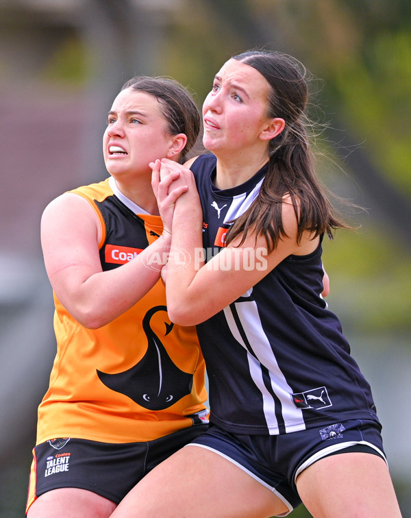 Coates League Girls 2025 Quarter Final - Dandenong Stingrays v Geelong Falcons - A-62137709