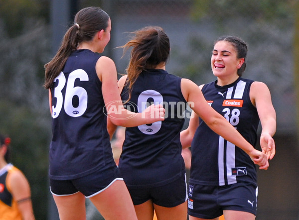 Coates League Girls 2025 Quarter Final - Dandenong Stingrays v Geelong Falcons - A-62139252