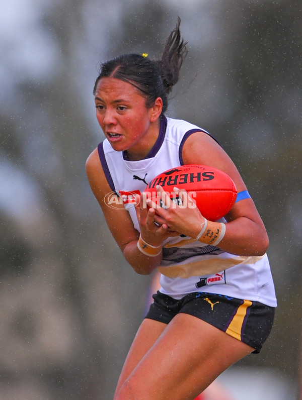 Coates League Girls 2025 Quarter Final - Gippsland Power v Murray Bushrangers - A-62142203