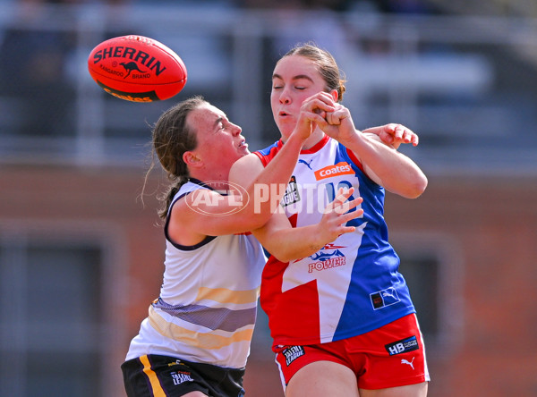 Coates League Girls 2025 Quarter Final - Gippsland Power v Murray Bushrangers - A-62142268