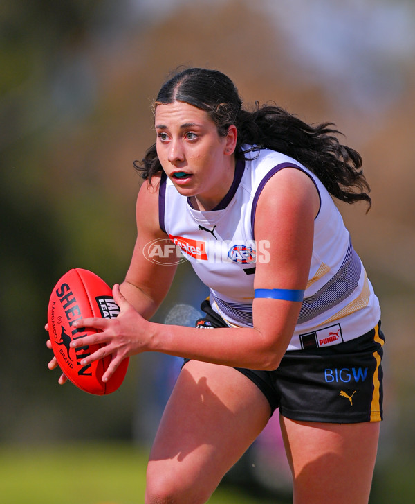 Coates League Girls 2025 Quarter Final - Gippsland Power v Murray Bushrangers - A-62142269