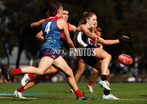 AFLW 2025 Round 03 - Collingwood v Narrm - A-62151742