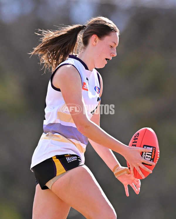 Coates League Girls 2025 Quarter Final - Gippsland Power v Murray Bushrangers - A-62154770