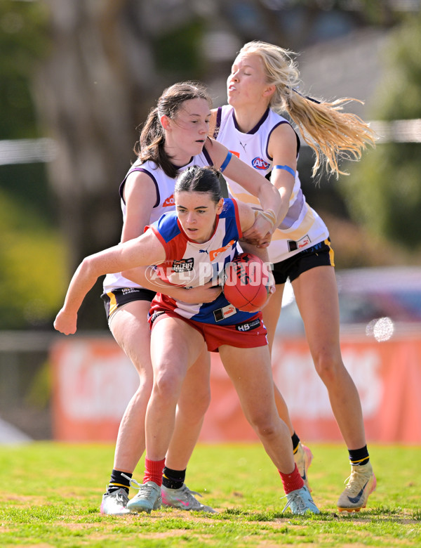 Coates League Girls 2025 Quarter Final - Gippsland Power v Murray Bushrangers - A-62156817