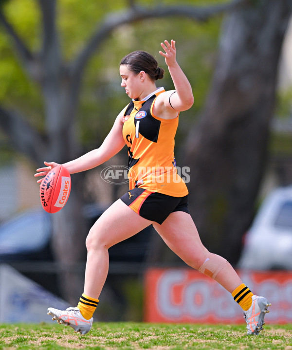 Coates League Girls 2025 Quarter Final - Dandenong Stingrays v Geelong Falcons - A-62159493