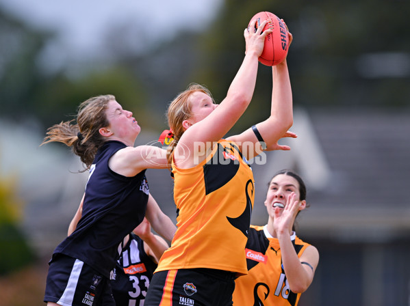 Coates League Girls 2025 Quarter Final - Dandenong Stingrays v Geelong Falcons - A-62159494