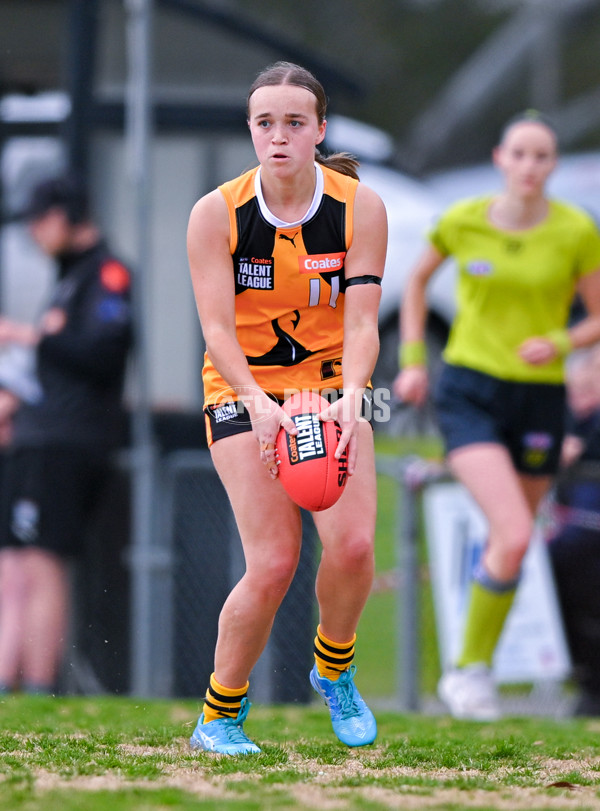 Coates League Girls 2025 Quarter Final - Dandenong Stingrays v Geelong Falcons - A-62159496