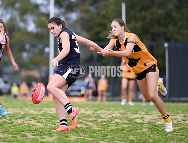Coates League Girls 2025 Quarter Final - Dandenong Stingrays v Geelong Falcons - A-62159497