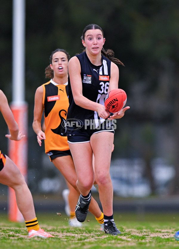 Coates League Girls 2025 Quarter Final - Dandenong Stingrays v Geelong Falcons - A-62159499