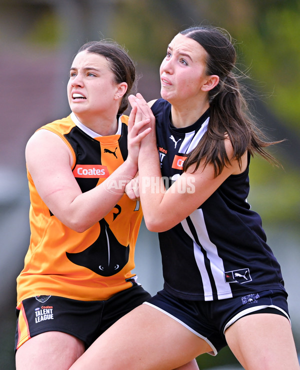Coates League Girls 2025 Quarter Final - Dandenong Stingrays v Geelong Falcons - A-62159500