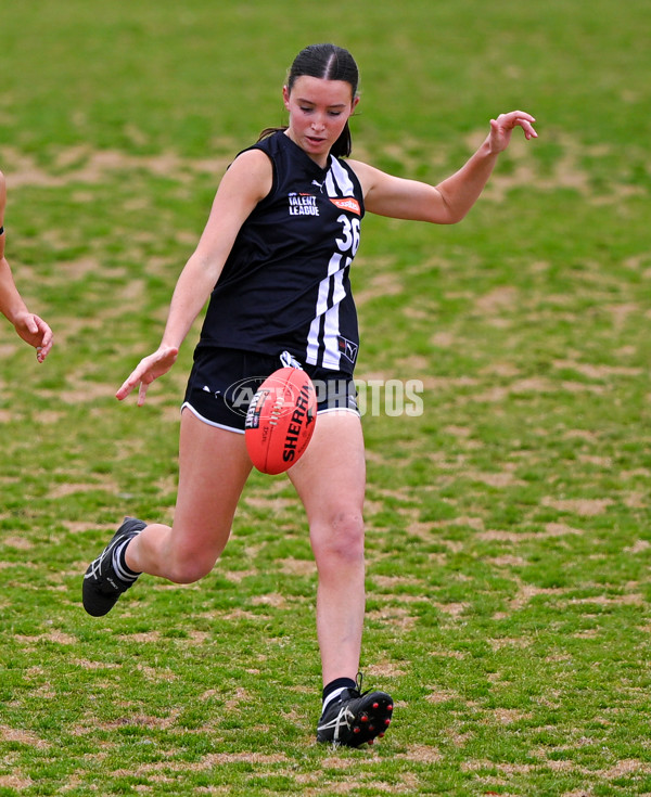 Coates League Girls 2025 Quarter Final - Dandenong Stingrays v Geelong Falcons - A-62159668