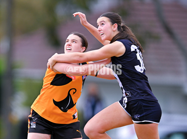 Coates League Girls 2025 Quarter Final - Dandenong Stingrays v Geelong Falcons - A-62159674