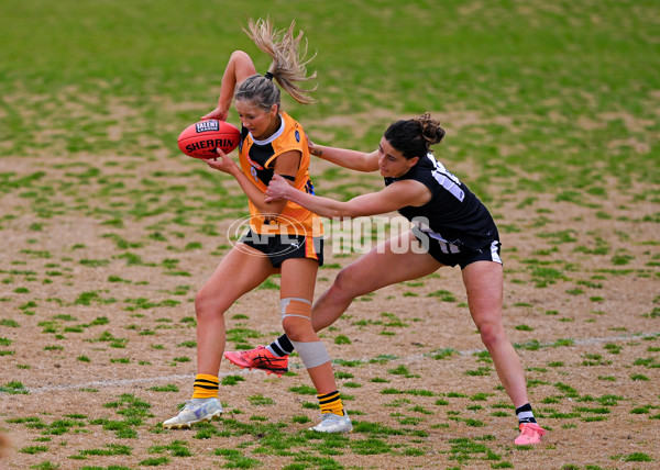 Coates League Girls 2025 Quarter Final - Dandenong Stingrays v Geelong Falcons - A-62159675