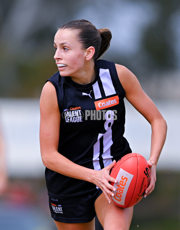 Coates League Girls 2025 Quarter Final - Dandenong Stingrays v Geelong Falcons - A-62159676
