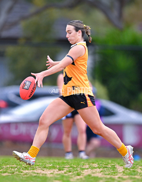Coates League Girls 2025 Quarter Final - Dandenong Stingrays v Geelong Falcons - A-62159678