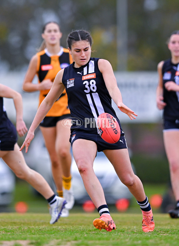 Coates League Girls 2025 Quarter Final - Dandenong Stingrays v Geelong Falcons - A-62159679