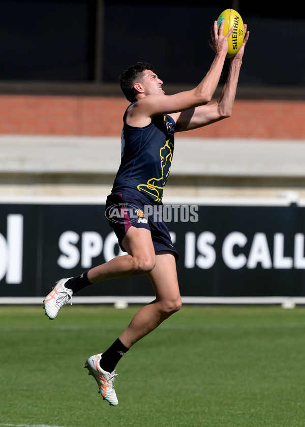 AFL 2025 Training - Brisbane 020925 - A-62167585
