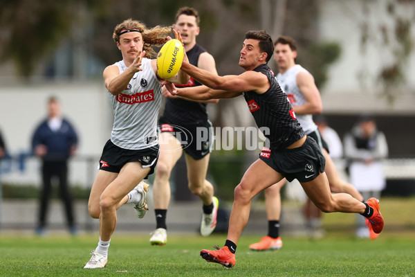 AFL 2025 Training - Collingwood 020925 - A-62173472