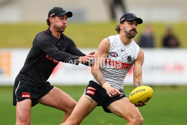 AFL 2025 Training - Collingwood 020925 - A-62174020
