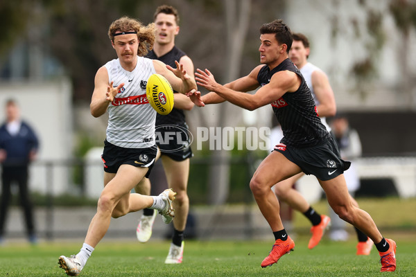 AFL 2025 Training - Collingwood 020925 - A-62174044