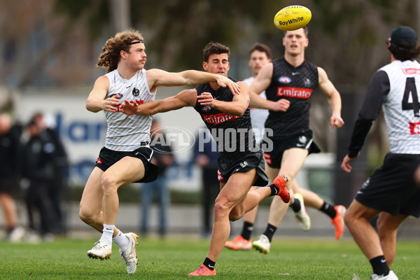 AFL 2025 Training - Collingwood 020925 - A-62174045