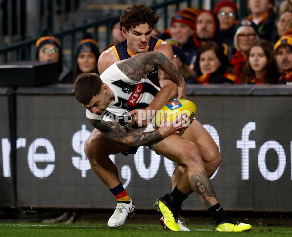 AFL 2025 First Qualifying Final - Adelaide v Collingwood - A-62212864