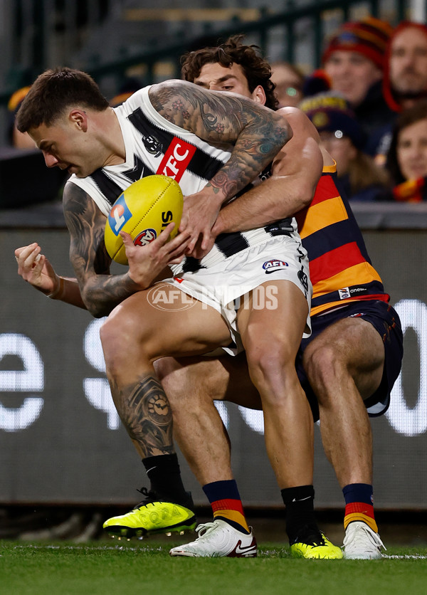 AFL 2025 First Qualifying Final - Adelaide v Collingwood - A-62213531