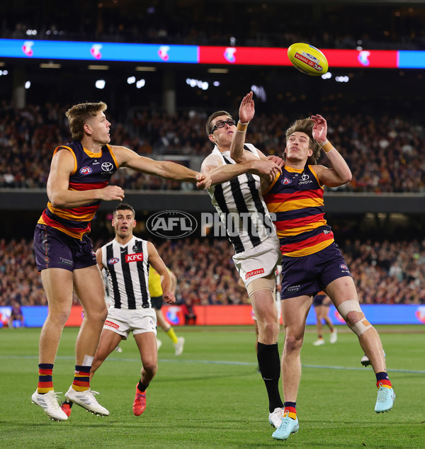 AFL 2025 First Qualifying Final - Adelaide v Collingwood - A-62213541
