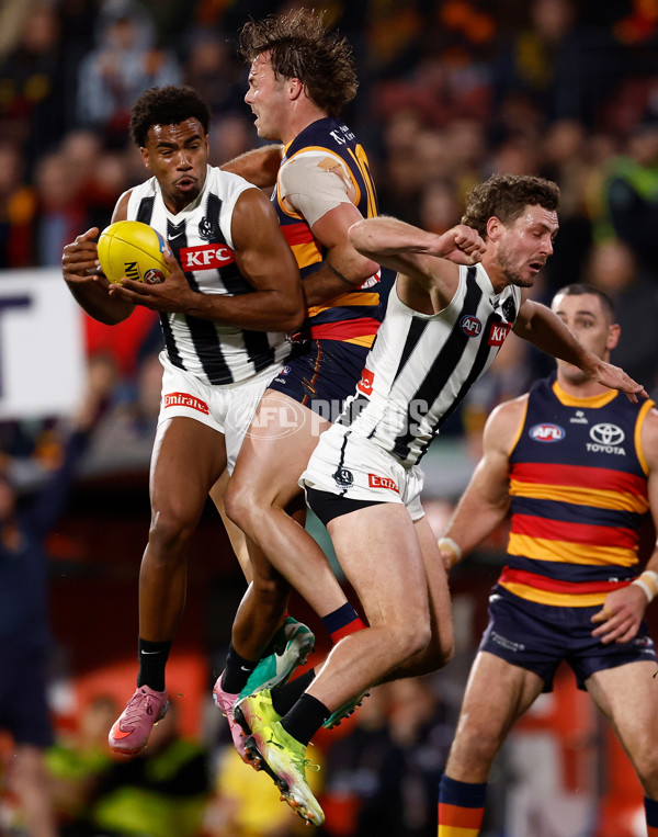 AFL 2025 First Qualifying Final - Adelaide v Collingwood - A-62215121