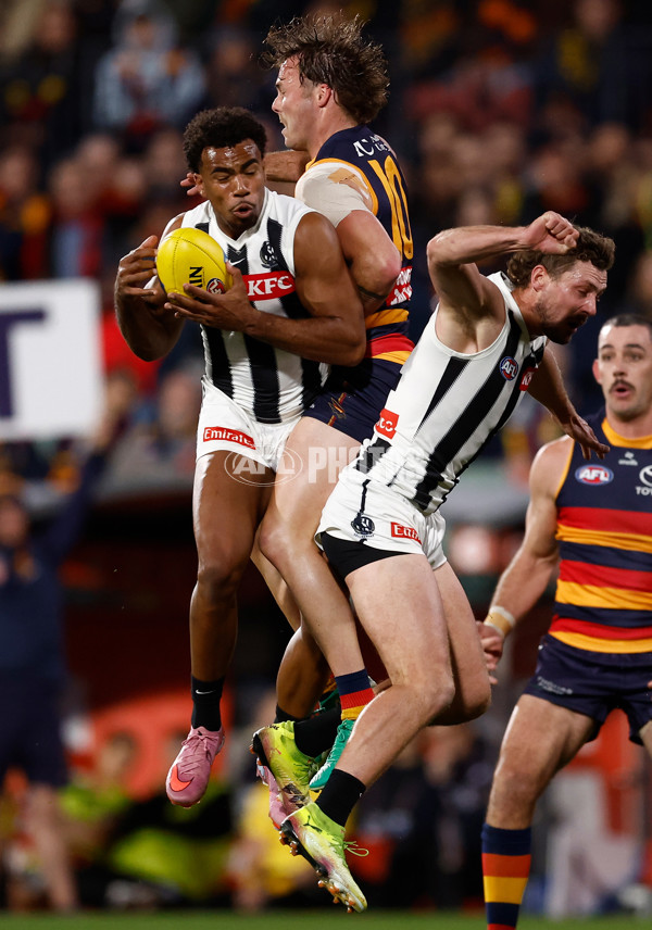 AFL 2025 First Qualifying Final - Adelaide v Collingwood - A-62215122