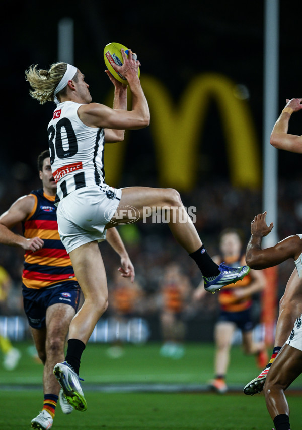 AFL 2025 First Qualifying Final - Adelaide v Collingwood - A-62215153