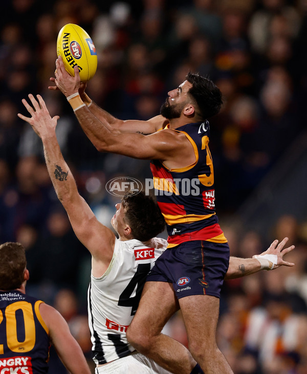 AFL 2025 First Qualifying Final - Adelaide v Collingwood - A-62215158