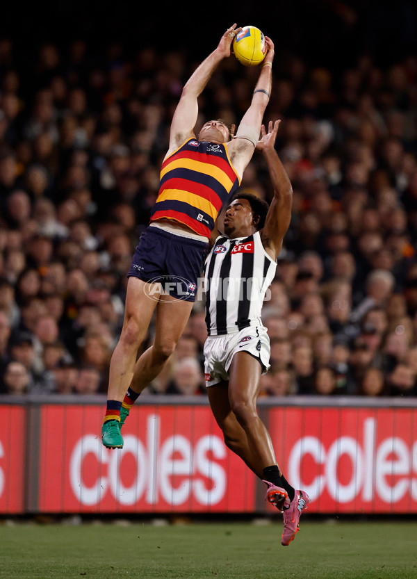 AFL 2025 First Qualifying Final - Adelaide v Collingwood - A-62215159