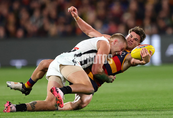 AFL 2025 First Qualifying Final - Adelaide v Collingwood - A-62215176