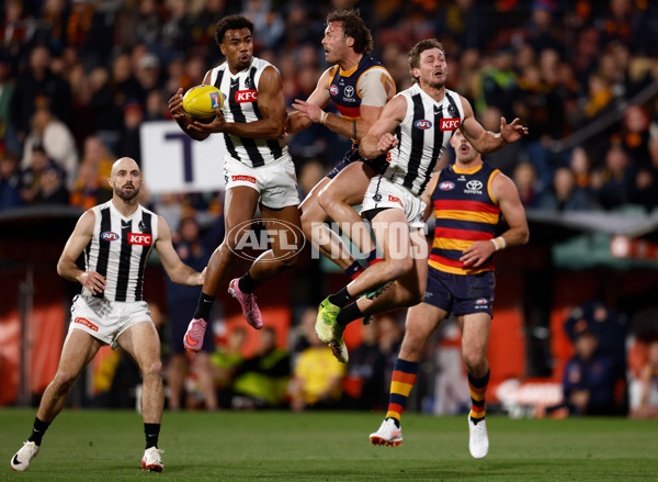AFL 2025 First Qualifying Final - Adelaide v Collingwood - A-62216001