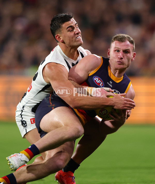 AFL 2025 First Qualifying Final - Adelaide v Collingwood - A-62216002