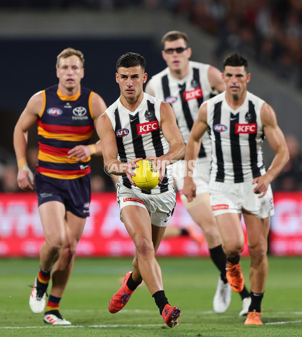 AFL 2025 First Qualifying Final - Adelaide v Collingwood - A-62216021