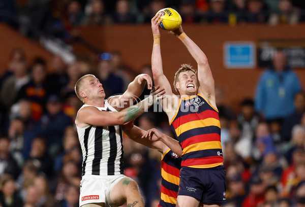 AFL 2025 First Qualifying Final - Adelaide v Collingwood - A-62216030