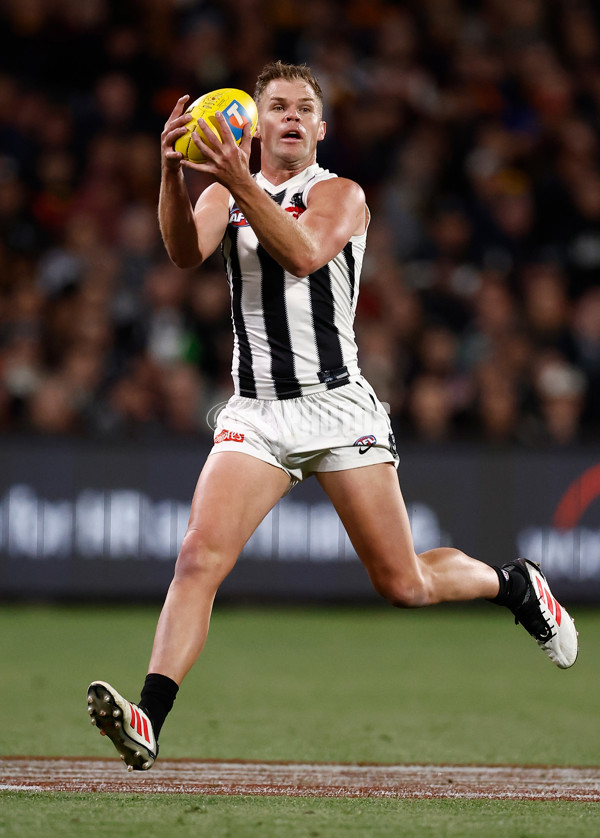 AFL 2025 First Qualifying Final - Adelaide v Collingwood - A-62216032