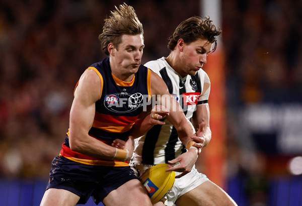 AFL 2025 First Qualifying Final - Adelaide v Collingwood - A-62216033