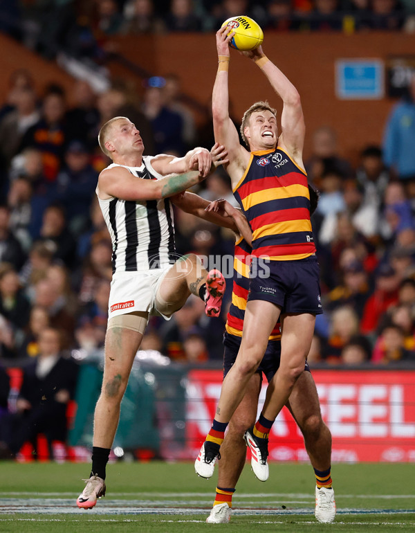 AFL 2025 First Qualifying Final - Adelaide v Collingwood - A-62216035