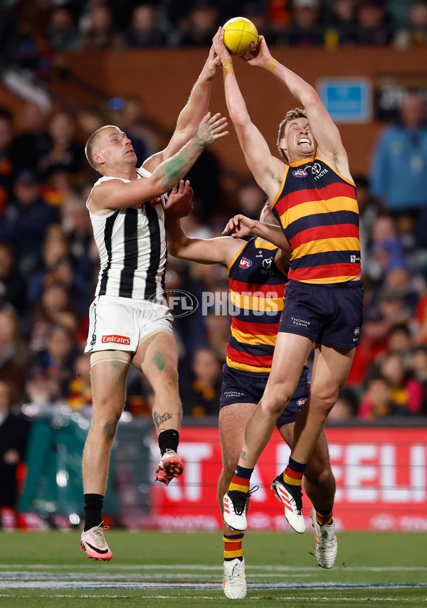 AFL 2025 First Qualifying Final - Adelaide v Collingwood - A-62216037