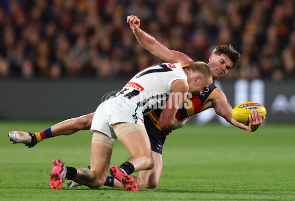 AFL 2025 First Qualifying Final - Adelaide v Collingwood - A-62216039